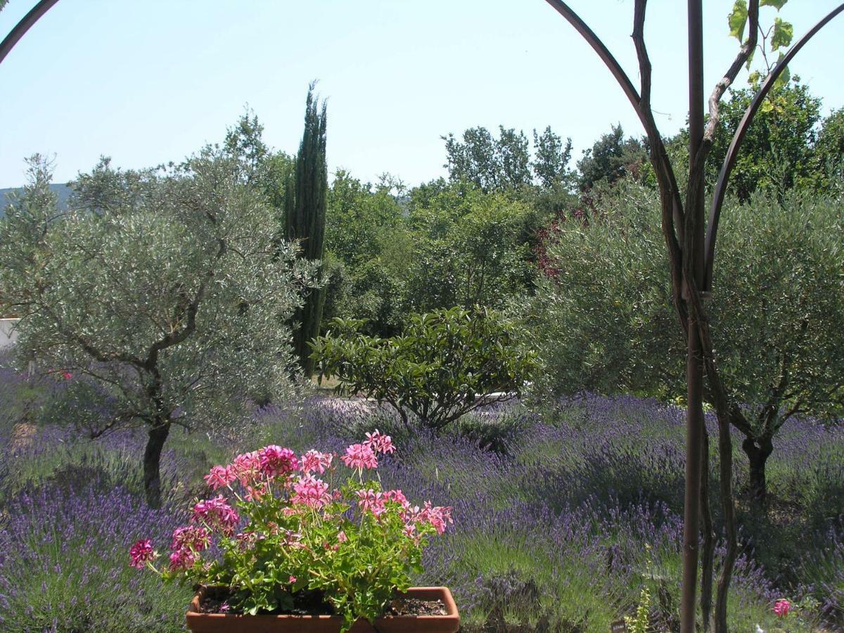 Clos Des Lavandes - Luberon Lacoste  Exterior photo