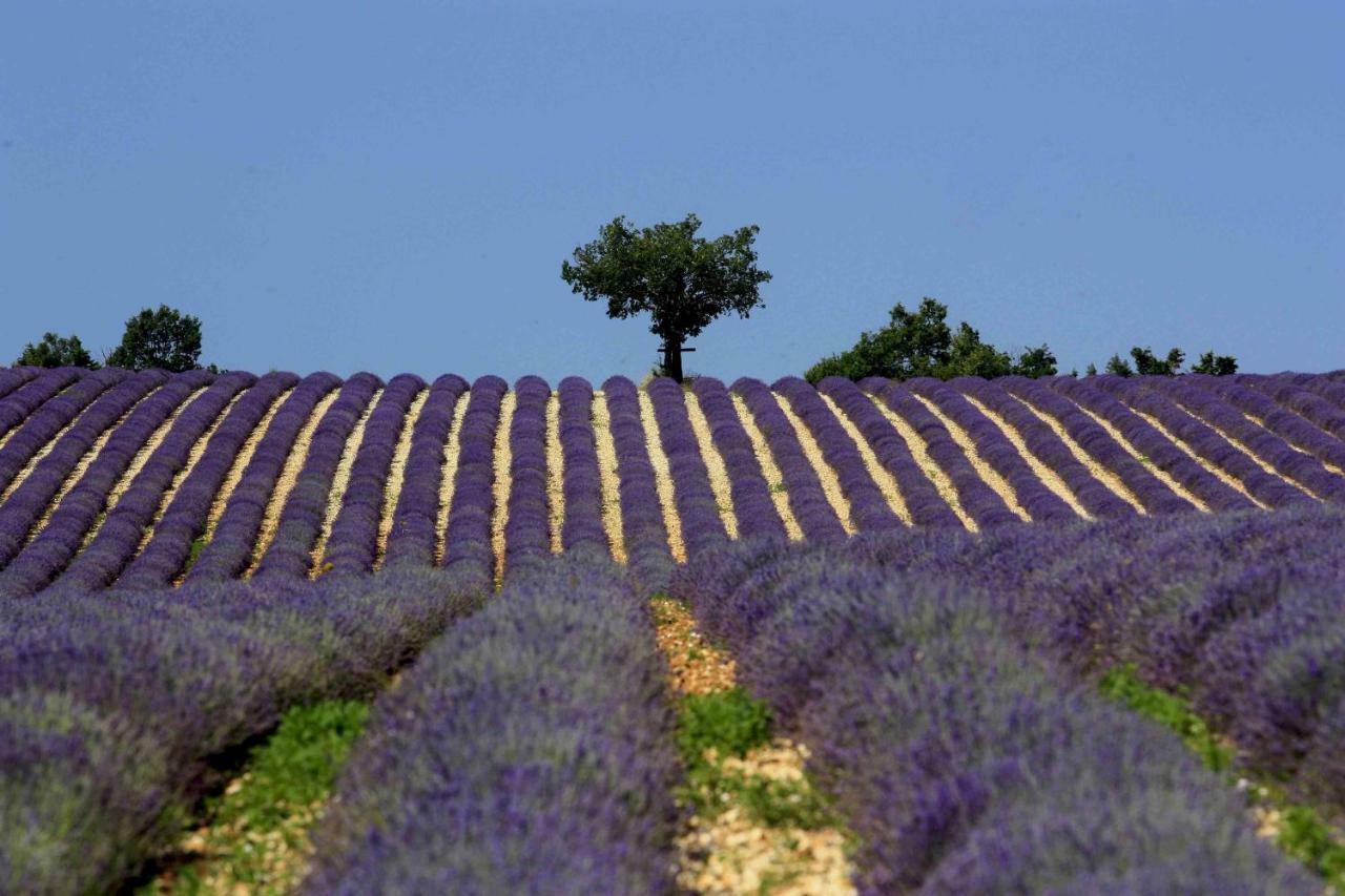 Clos Des Lavandes - Luberon Lacoste  Exterior photo